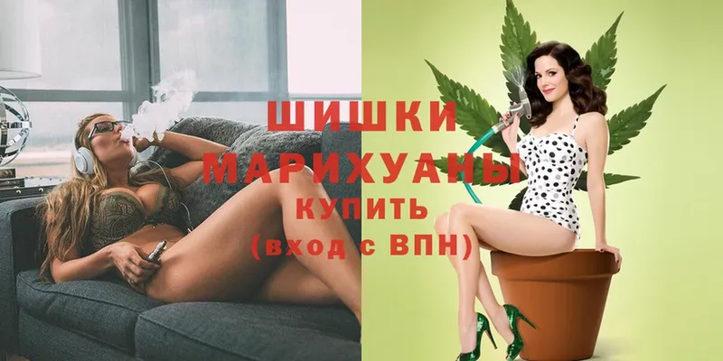 купить наркотики цена  Зубцов  Бошки марихуана SATIVA & INDICA 